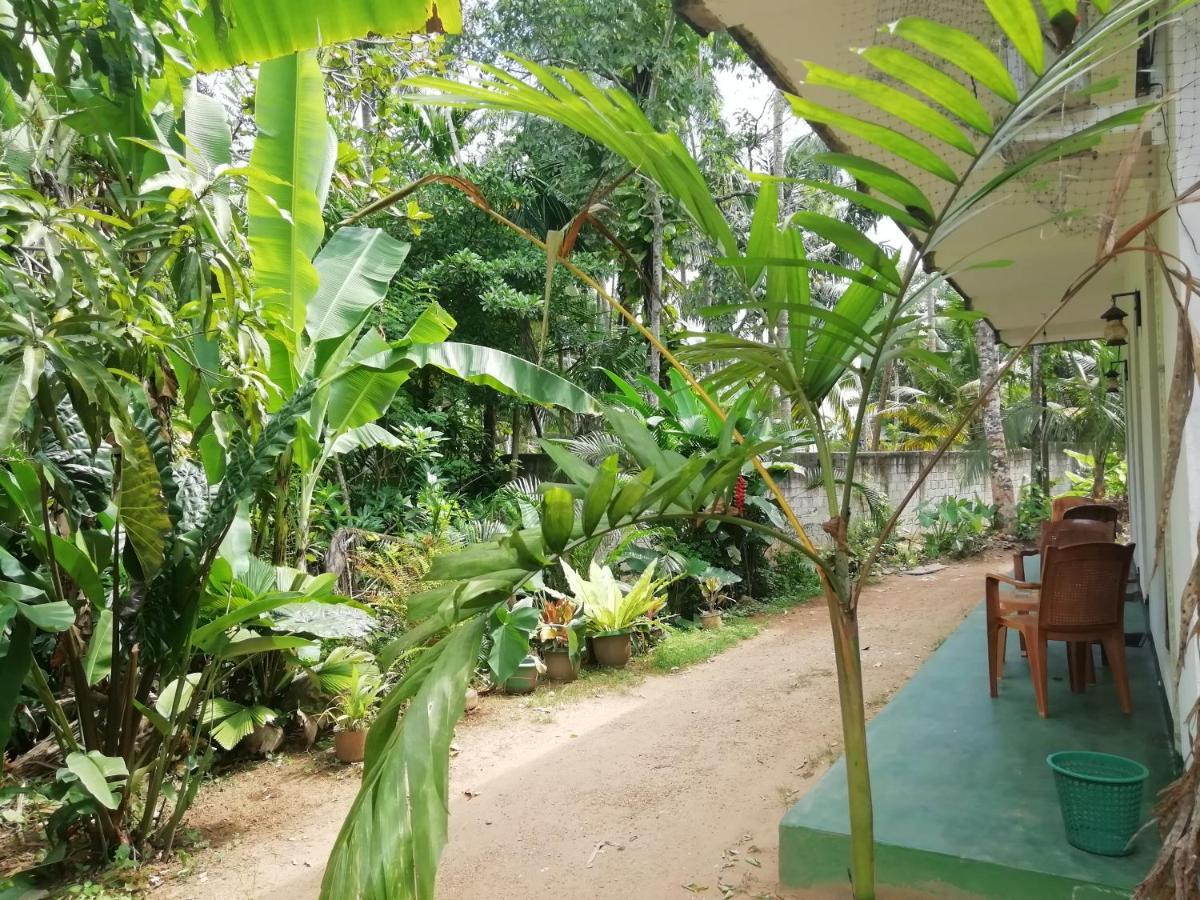 Jungle Guest ,Mirissa Hotel Екстериор снимка